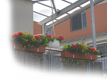 Gärtnerei Pichler / Balkonkästen bepflanzen